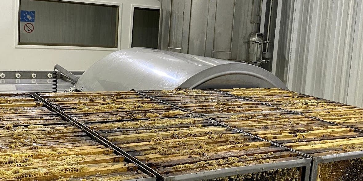 Sala de extracción de miel con muros lavables, marcos de alza en bandejas de acero inoxidable y equipos del mismo metal al fondo